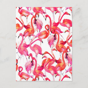 Waterverf flamingo's in Waterverven 2 Briefkaart
