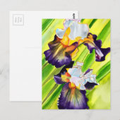 Waterverf florale irisbloem briefkaart (Voorkant / Achterkant)