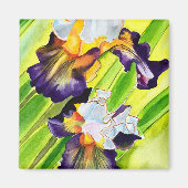 Waterverf florale irisbloem magneet (Voorkant)