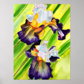 Waterverf florale irisbloem poster (Voorkant)