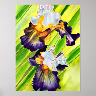 Waterverf florale irisbloem poster