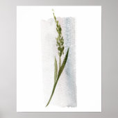 Waterverf Forest Grass Poster (Voorkant)