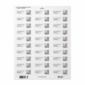 Waterverf Fox Kardinaal Wildlife Natuur Animal Etiket (Full Sheet)