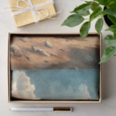 Waterverf  galopperende wilde paarden prairie tissuepapier (Geschenk)