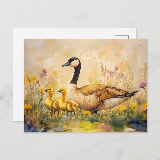 Waterverf Gans en Goslings Spring Briefkaart (Voorkant / Achterkant)