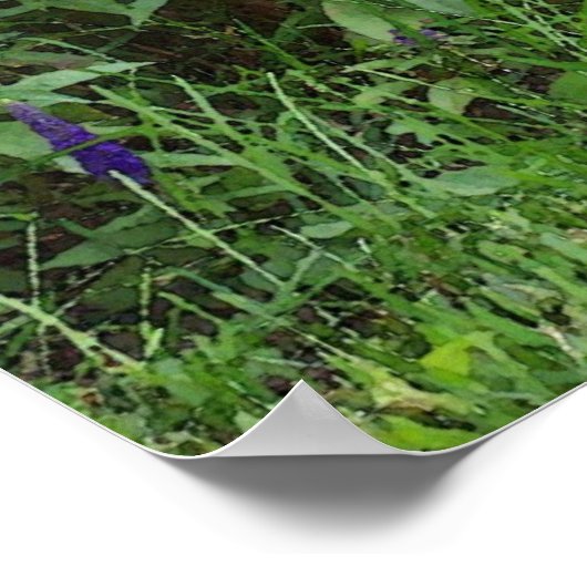 Waterverf Garden Cat Poster (Hoek)