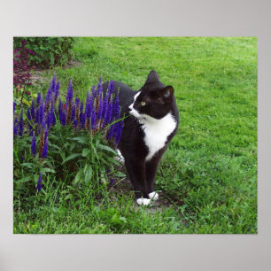 Waterverf Garden Cat Poster