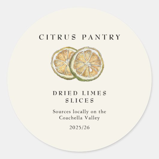 Waterverf Gedroogde Limoen-plakjes Ronde Sticker (Voorkant)
