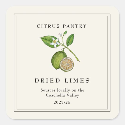 Waterverf  Gedroogde Limoen plakjes Vierkante Sticker (Voorkant)