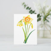 Waterverf Gele Daffodils Spring Flowers Briefkaart (Staand voorkant)
