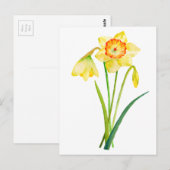 Waterverf Gele Daffodils Spring Flowers Briefkaart (Voorkant / Achterkant)