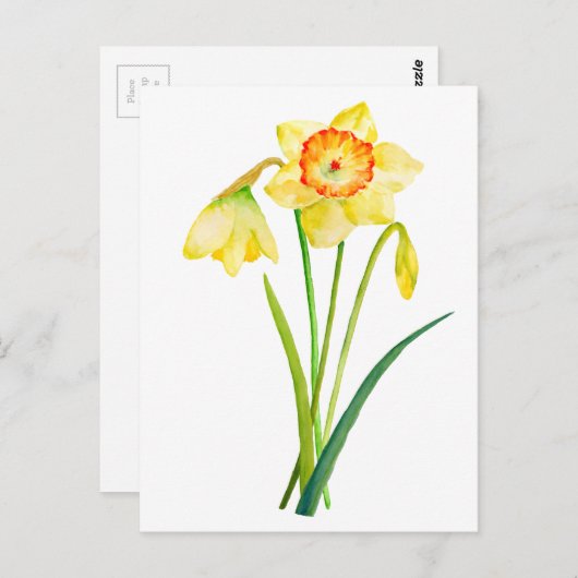 Waterverf Gele Daffodils Spring Flowers Briefkaart (Voorkant / Achterkant)
