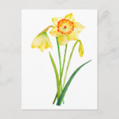 Waterverf Gele Daffodils Spring Flowers Briefkaart (Voorkant)