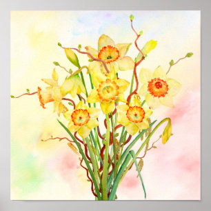 Waterverf Gele Daffodils Spring Flowers Poster
