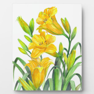 Waterverf Gele Dag Lilies Floral Art Fotoplaat