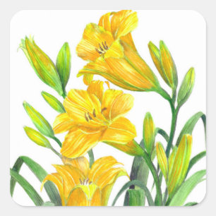 Waterverf Gele Dag Lilies Floral Art Vierkante Sticker