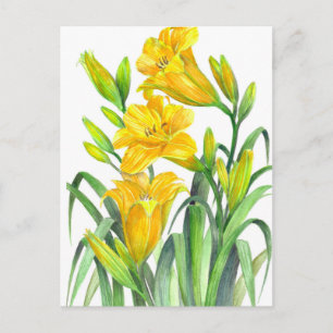 Waterverf Gele Dag Lilies Floral Illustration Briefkaart