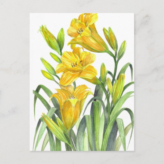 Waterverf Gele Dag Lilies Floral Illustration Briefkaart (Voorkant)