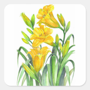 Waterverf Gele Dag Lilies Floral Illustration Vierkante Sticker
