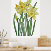 Waterverf gele diaffodils Botanische illustratie Poster (Keuken)