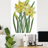 Waterverf gele diaffodils Botanische illustratie Poster (Thuiskantoor)