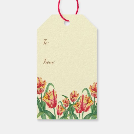 Waterverf gele papegaaiachtigen cadeaulabel (Achterkant)