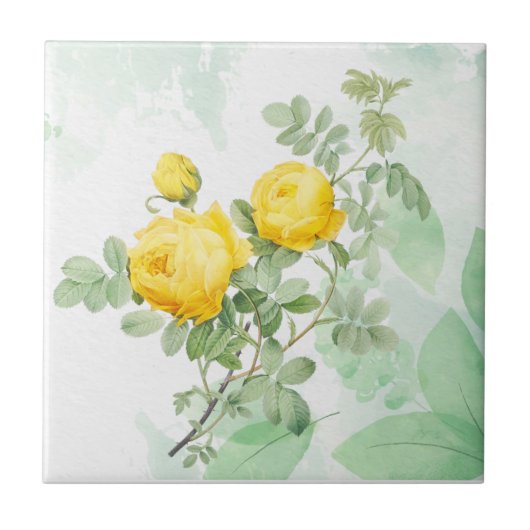 Waterverf Gele roodroos Natuur Ventilator Tegeltje (Voorkant)