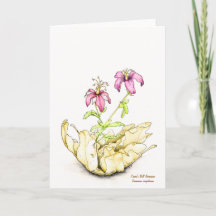 Waterverf geranium wilde bloem blanco binnenkant