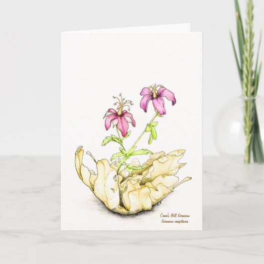 Waterverf geranium wilde bloem blanco binnenkant kaart (Voorkant)