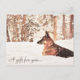 Waterverf German Shepherd Gift Certificate Briefkaart