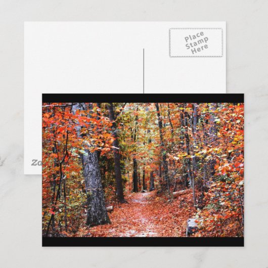 Waterverf geschilde herfst bos briefkaart (Voorkant / Achterkant)