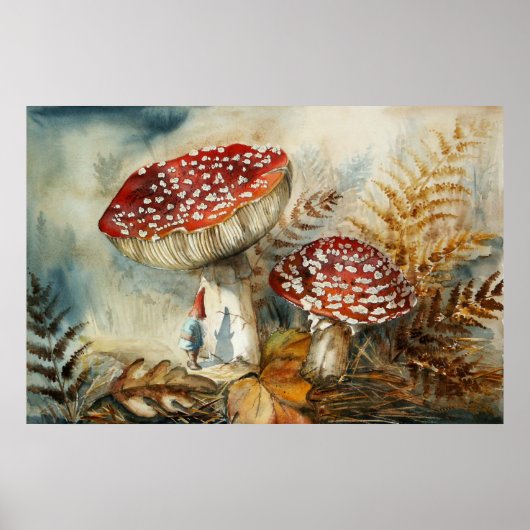 waterverf gnoom poster (Voorkant)