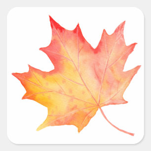 Waterverf Golden Maple Leaf Vierkante Sticker