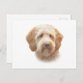 Waterverf Goldendoodle Briefkaart (Voorkant / Achterkant)