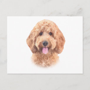 Waterverf Goldendoodle Briefkaart