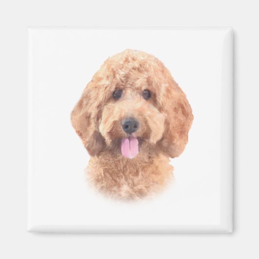 Waterverf Goldendoodle Magnet (Voorkant)