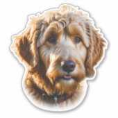 Waterverf Goldendoodle Sticker (Voorkant)