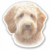 Waterverf Goldendoodle Sticker (Voorkant)