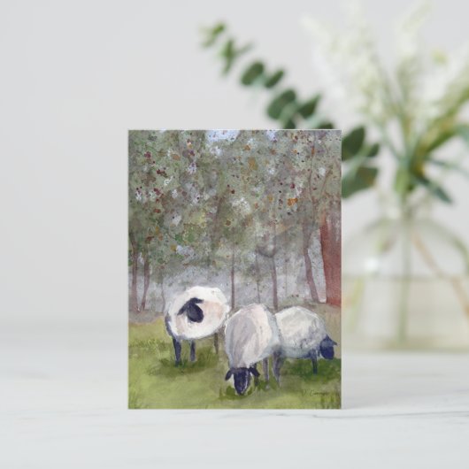 Waterverf graasschapen briefkaart (Staand voorkant)