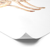 Waterverf Grafiek van de gemeenschappelijke padden Poster (Hoek)