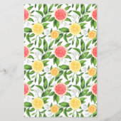 Waterverf Grapefruit en Sinaasappels Citrus-menuka (Achterkant)