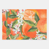 Waterverf grapefruitcitrus moderne tropische inpakpapier vel (Voorkant 3)