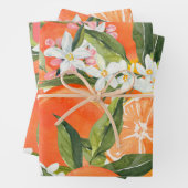 Waterverf grapefruitcitrus moderne tropische inpakpapier vel (In situ)