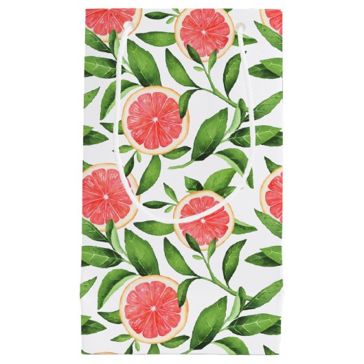Waterverf Grapefruits en groen Patroon Klein Cadeauzakje (Voorkant)