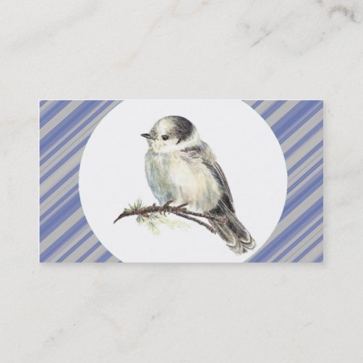 Waterverf Gray Jay Bird Wildlife Natuur Art Visitekaartje (Achterkant)