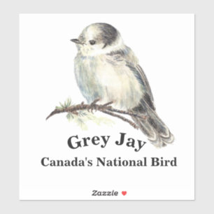 Waterverf Gray Jay Wildlife Natuur Sticker