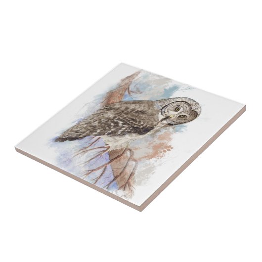 Waterverf Great Grey Owl Bird Art Tegeltje (Zijkant)
