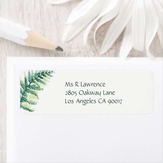 Waterverf Green Fern Etiket (Insitu)