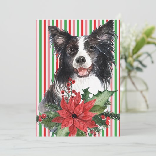 Waterverf-grens collie met Poinsettia-Kaart (Staand voorkant)