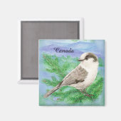 Waterverf grijs, grijs of Canada Jay Bird Custom Magneet (Voorkant / Achterkant)